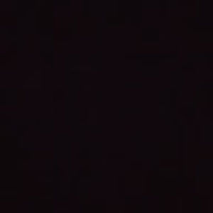 Meet your Posher, Eva